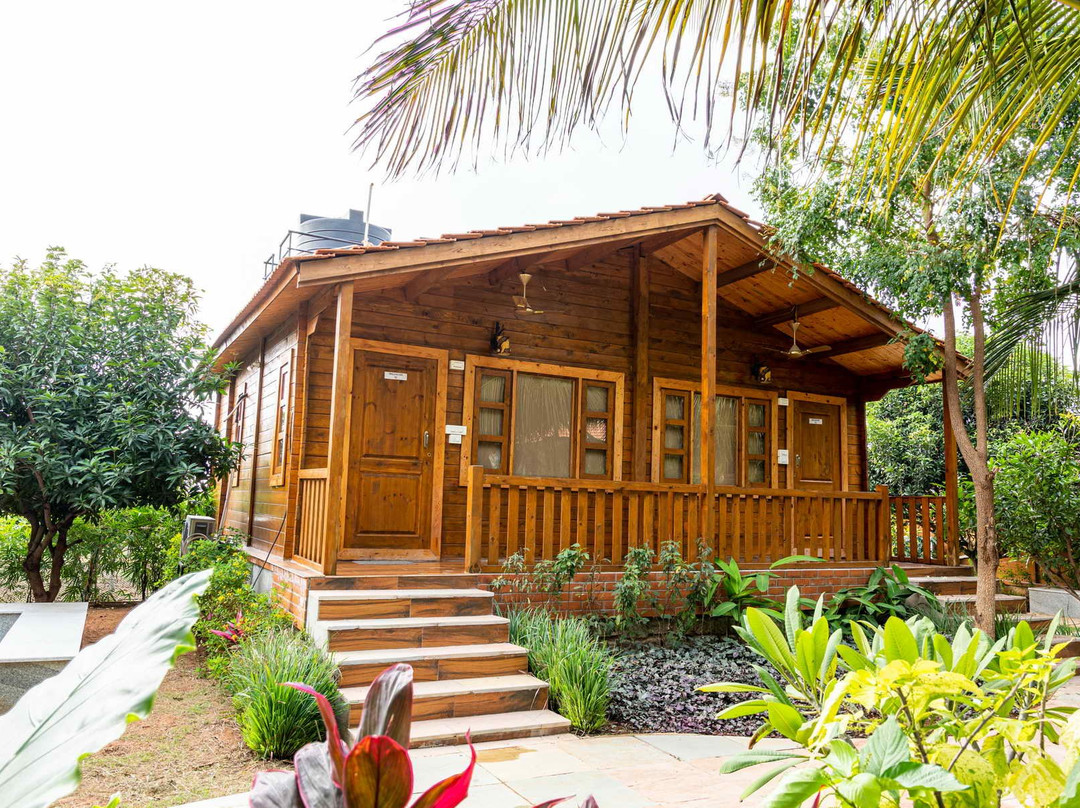 Brown Town Resort & Spa主图