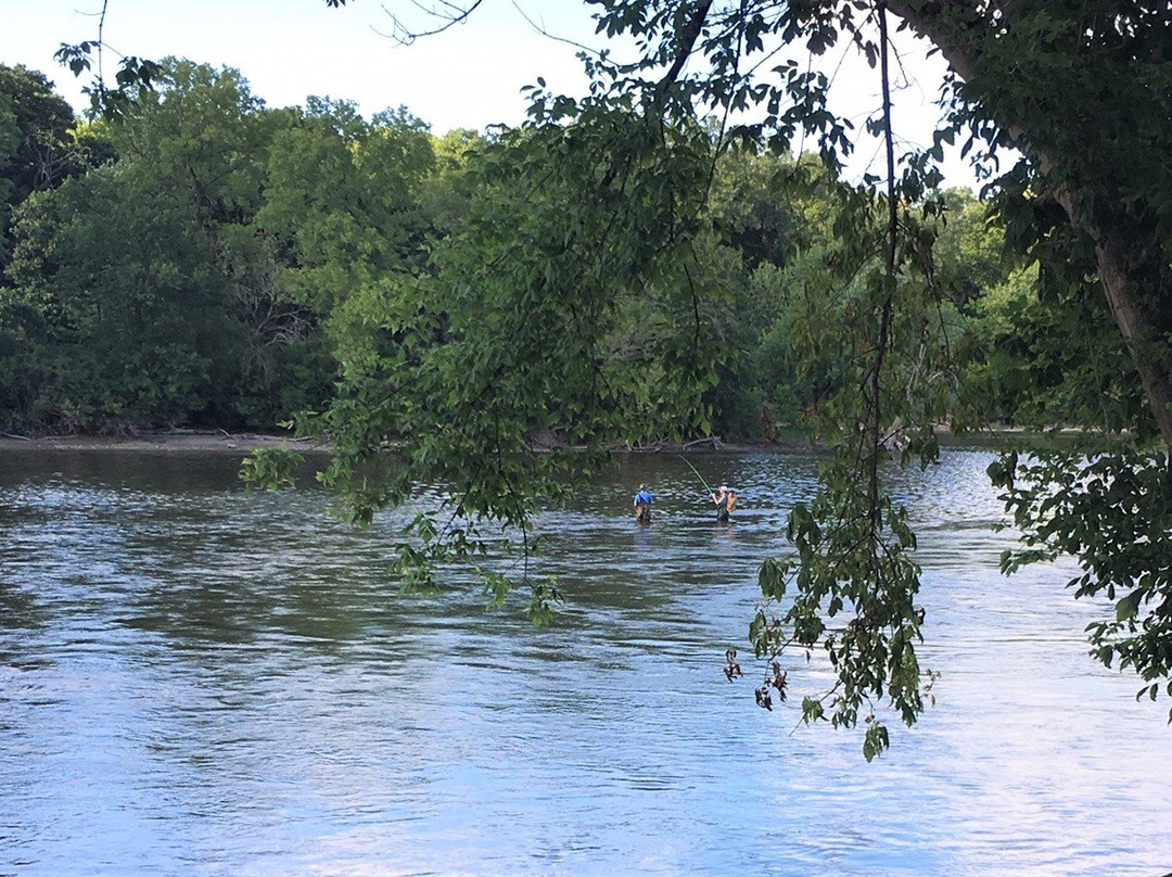 Southbank Original Barbecue