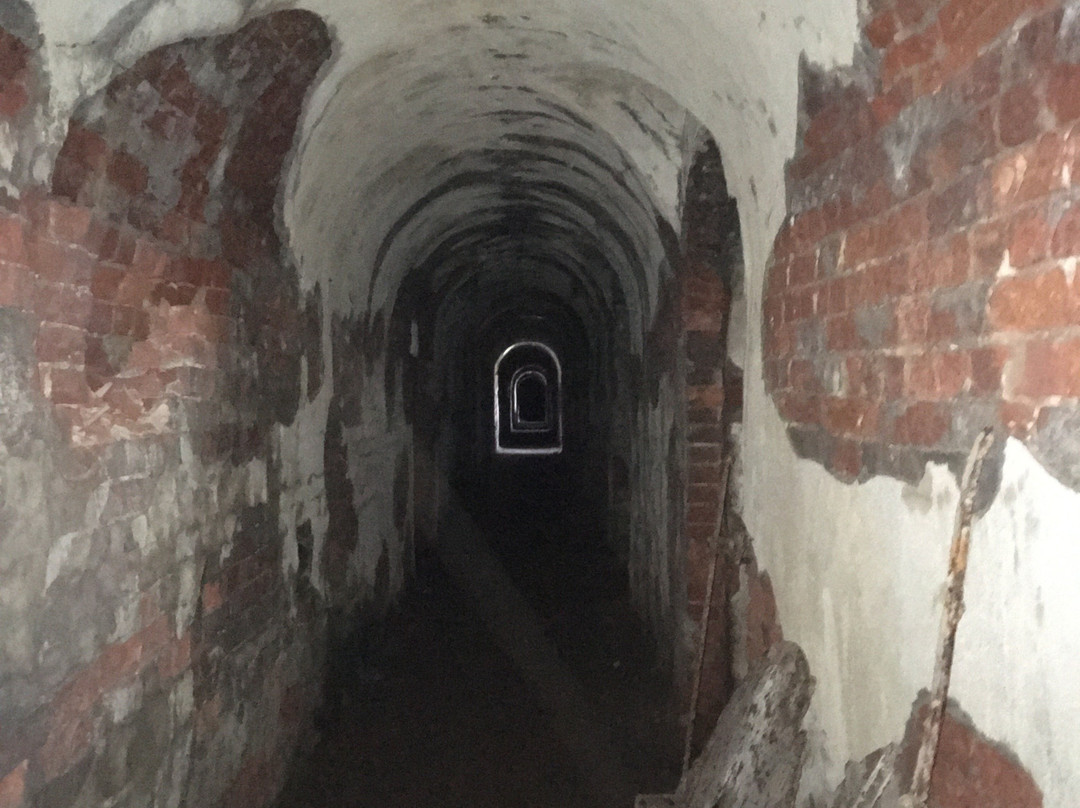 Forts of Kronstadt: Excursions-喀琅施塔得必去景点