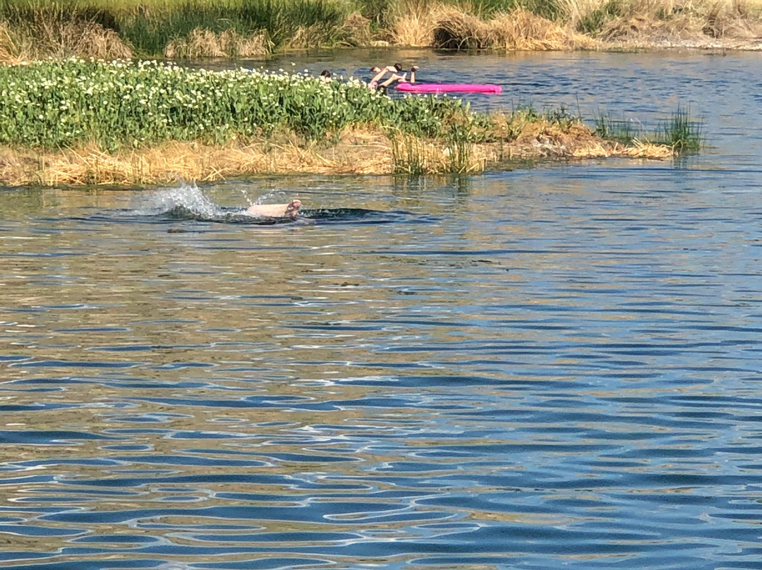Panaca Hot Springs-Panaca必去景点