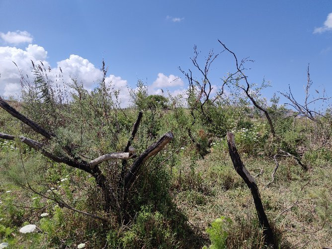 Taninim Nature Reserve-Bet Hananya必去景点