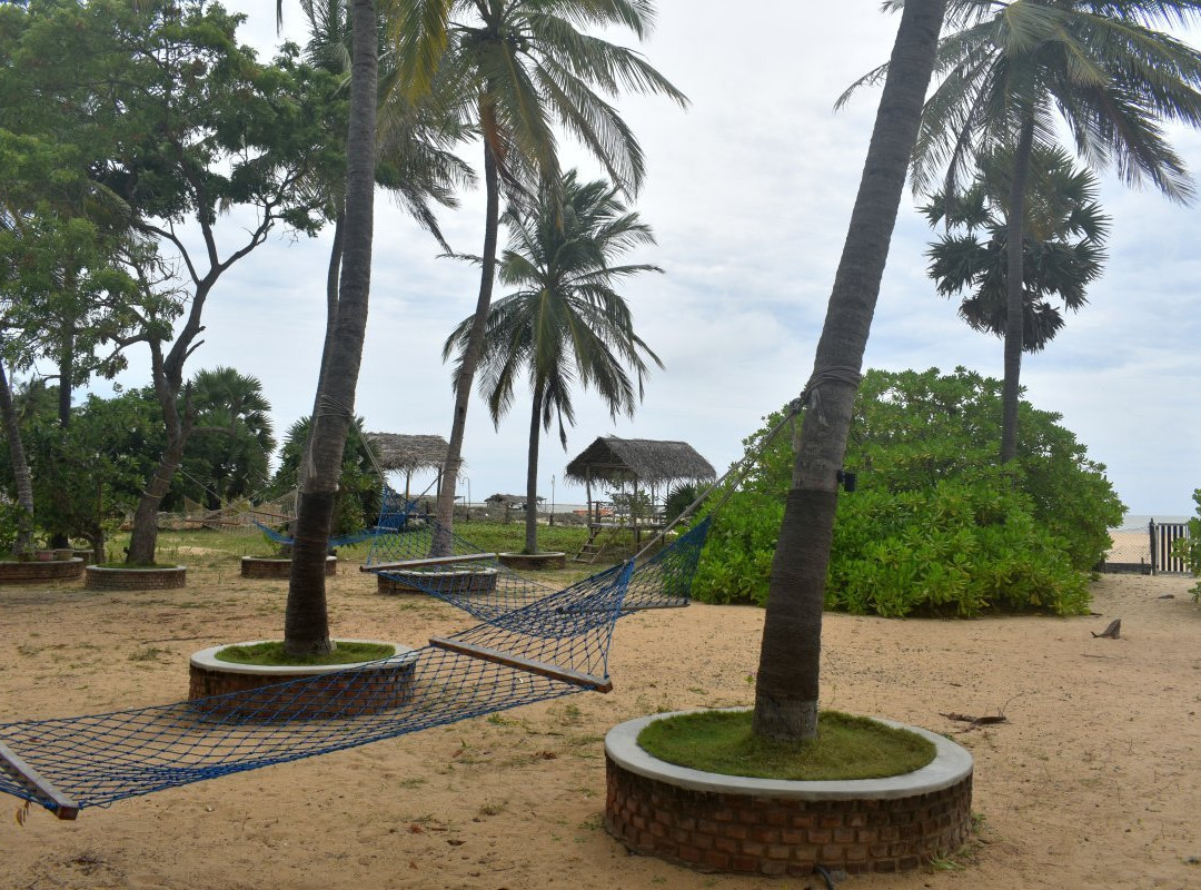 Wellé Wadiya Beach Hotel and Restaurant主图