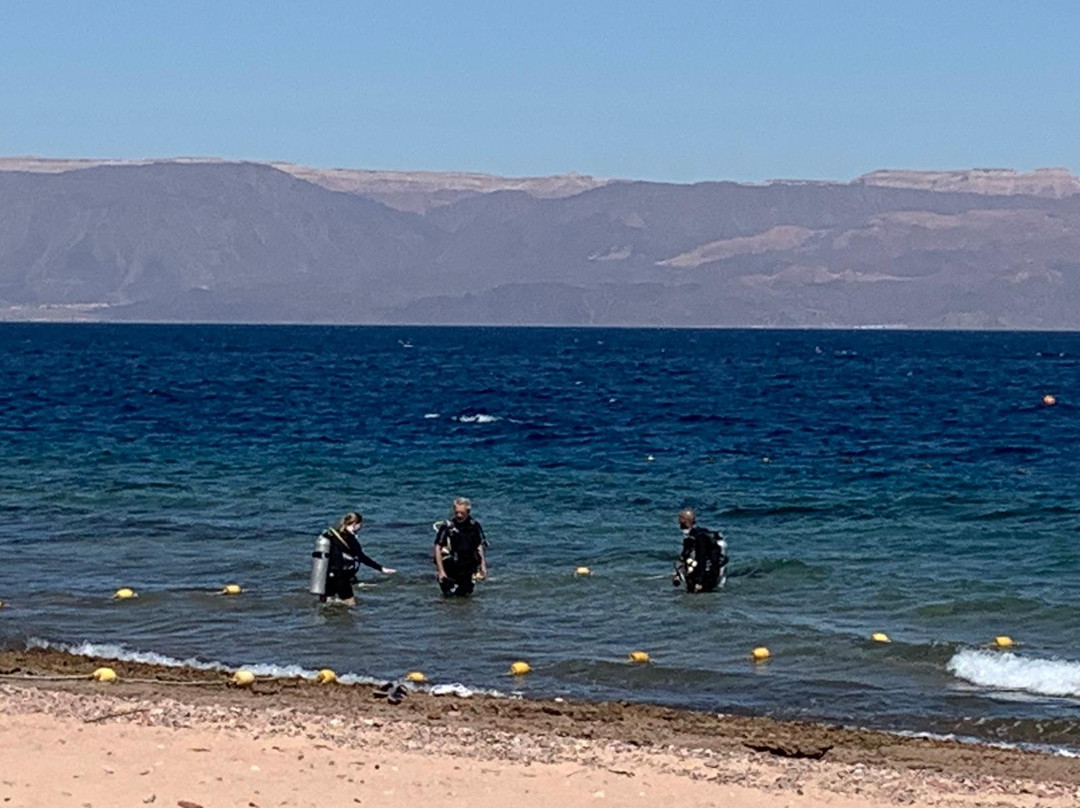 Sinai Divers Aqaba-亚喀巴必去景点