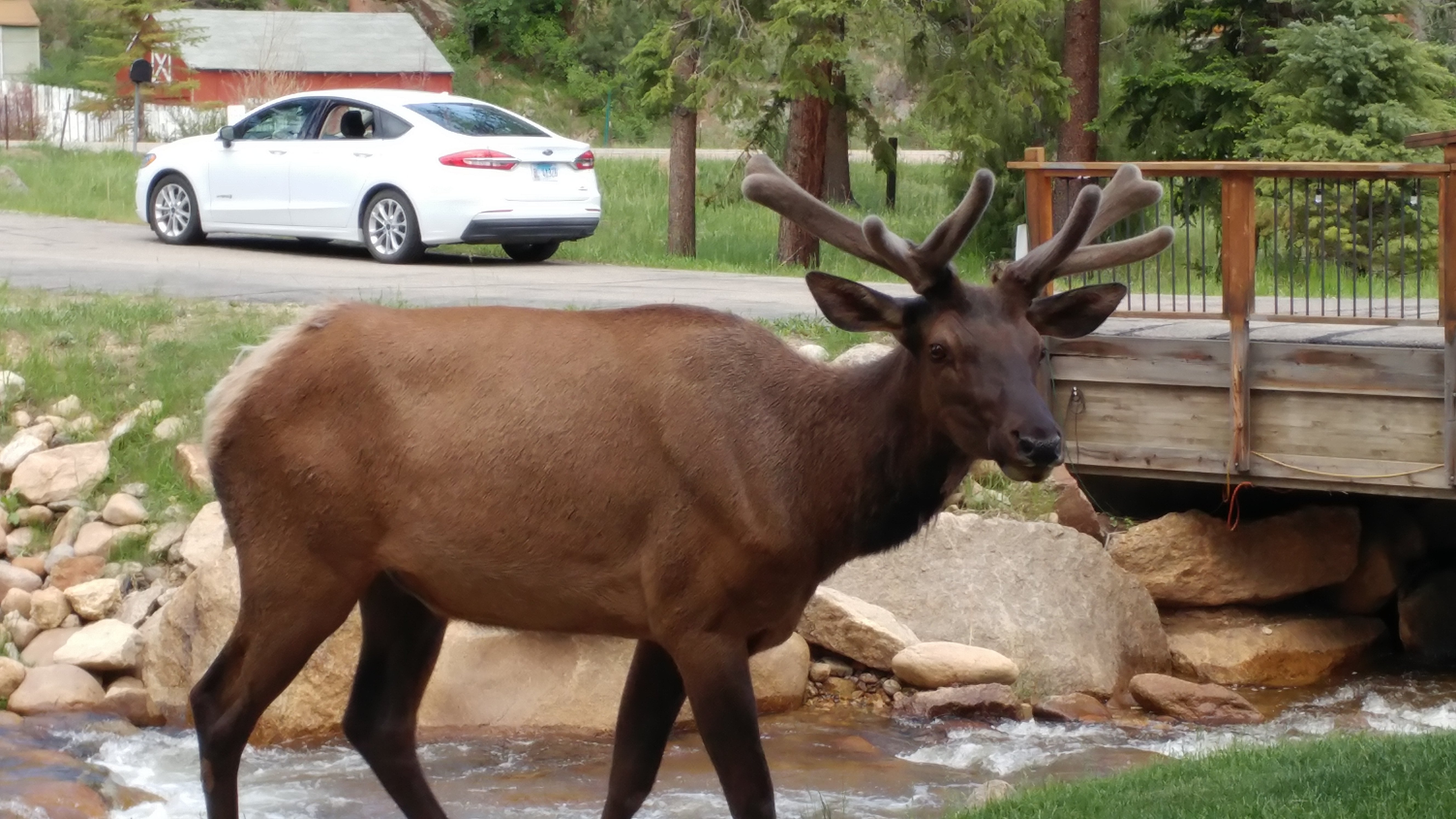 The Woodlands on Fall River-浴室