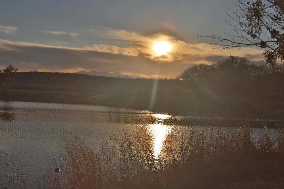 Mojave Narrows Regional Park Camping景点图片