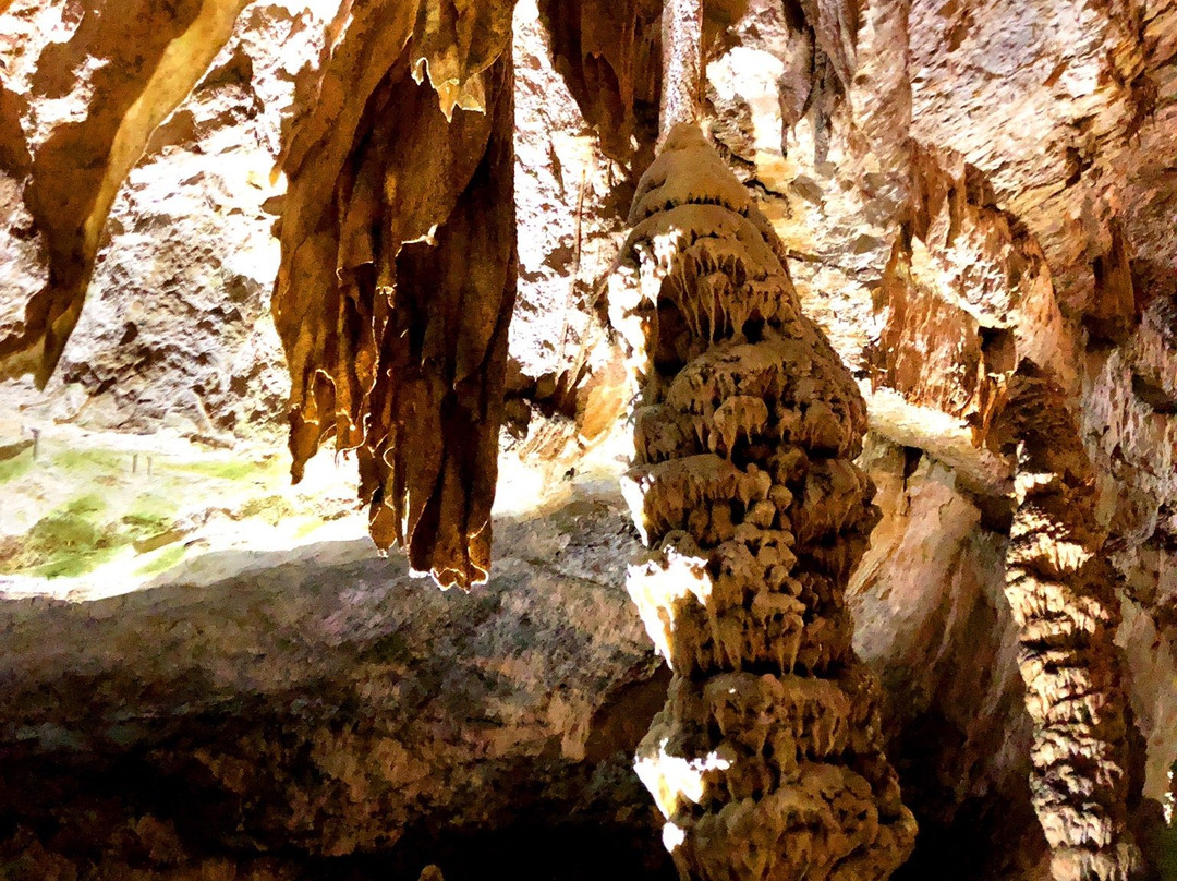 Les Grottes de Réclère景点图片