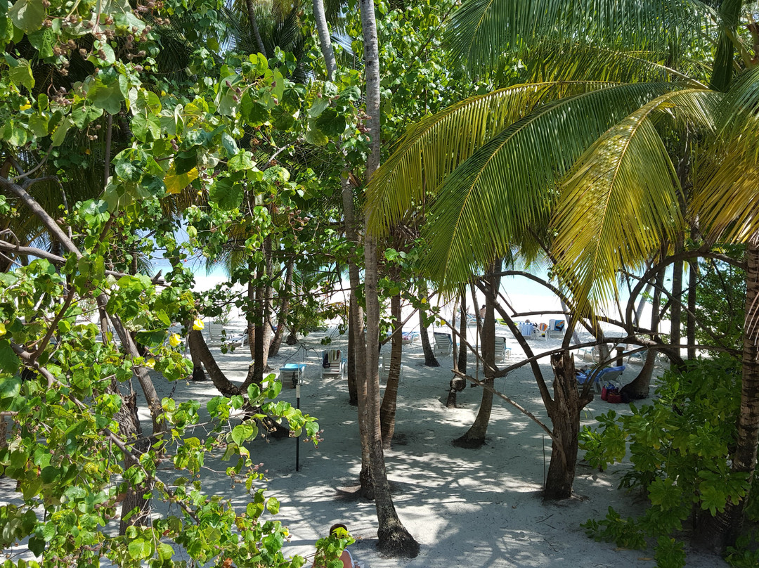 马尔代夫菲哈霍希酒店主图