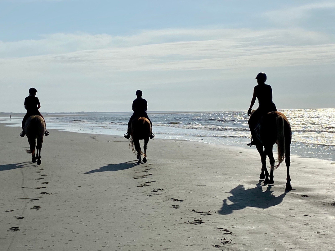 Seabrook Island Equestrian Center景点图片