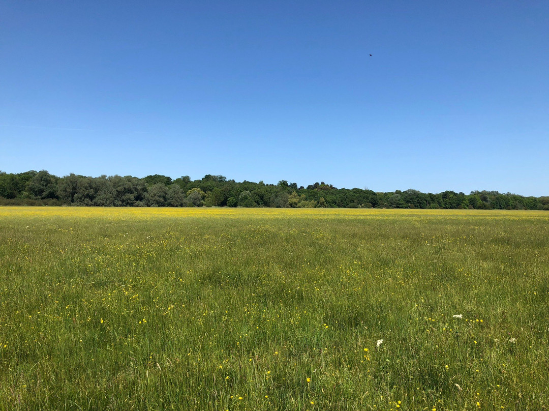 Hemingford Grey Meadow景点图片