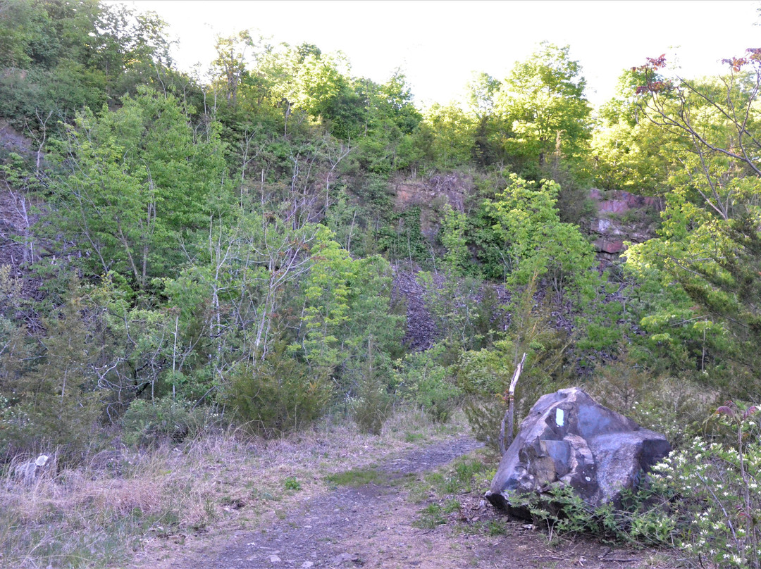 Quarry Park-罗基希尔必去景点