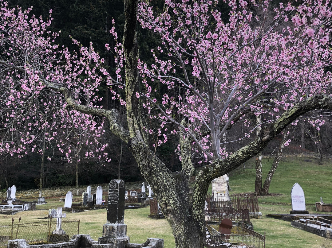 Queenstown Cemetery-皇后镇必去景点