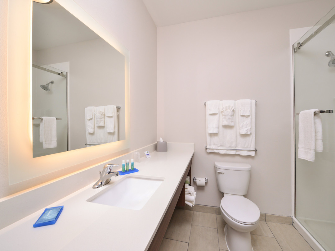 Holiday Inn Express Donaldsonville by IHG主图