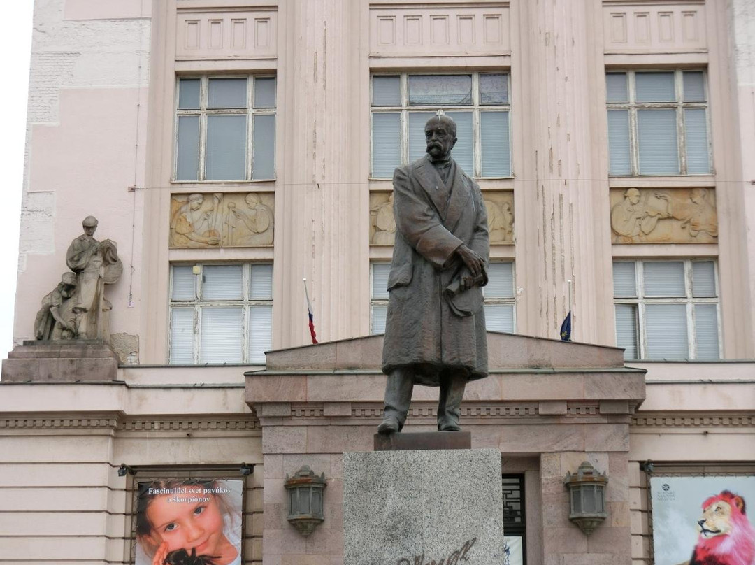 Slovak National Museum (Slovenske narodne muzeum)-布拉迪斯拉发必去景点