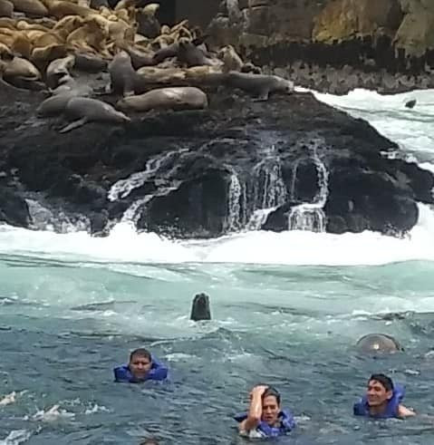 Islas Palomino-Callao必去景点