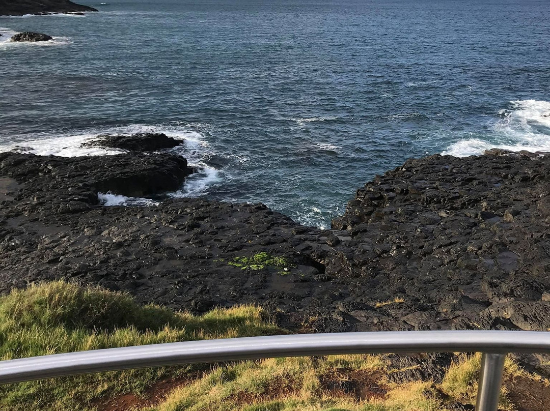 Little Blowhole Reserve “Endeavour Lookout”景点图片
