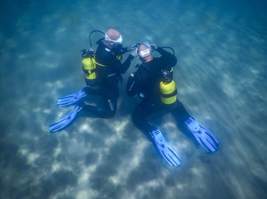 Wild Fun Dive-扎金索斯必去景点