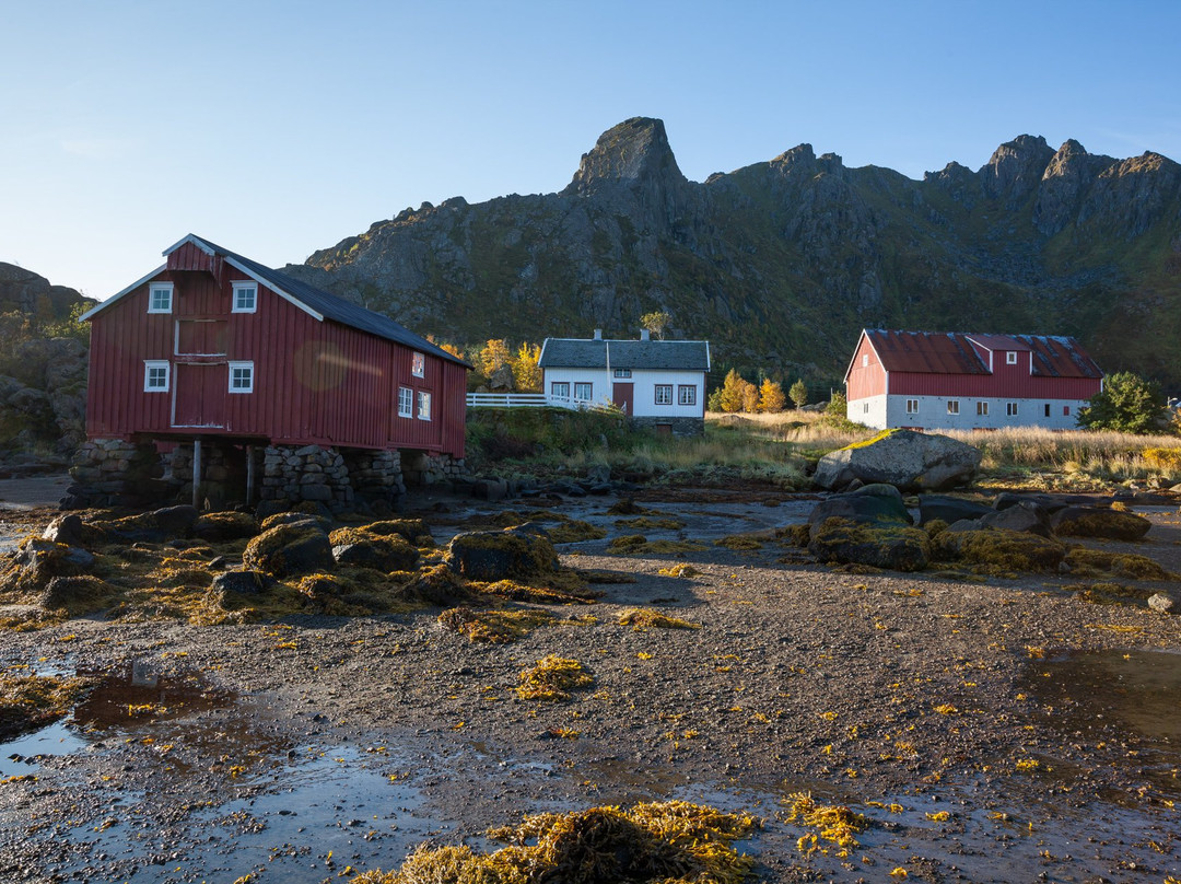 Skaftnes gård (farm)景点图片