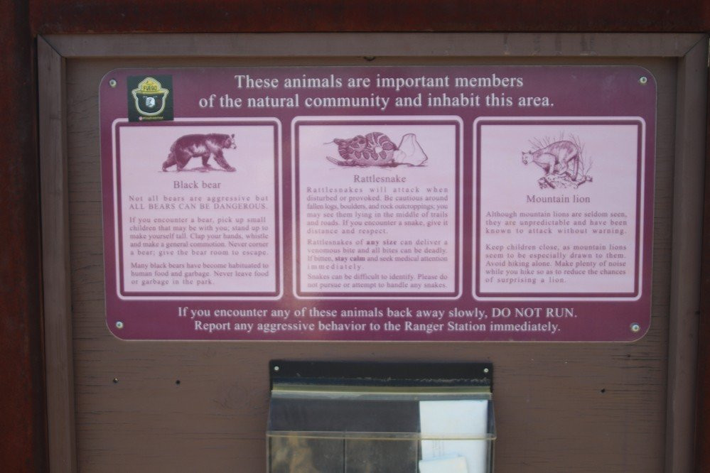 Mission Creek Preserve-沙漠温泉必去景点