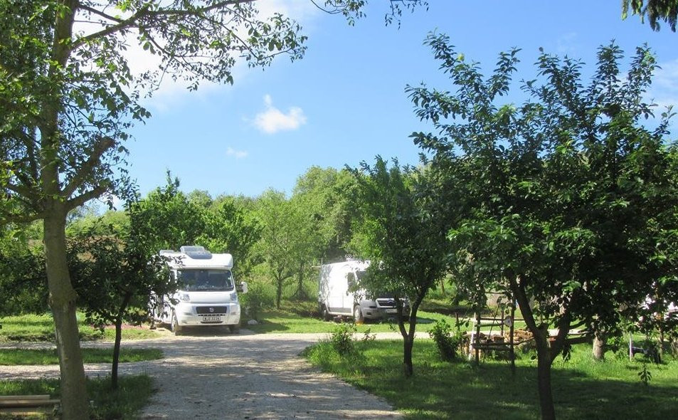 Koppany Pines Kemping & Rewild Escapes