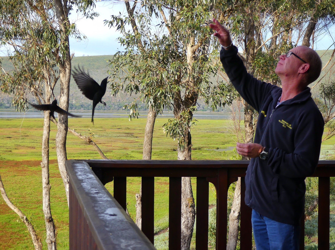 Oyster Creek Lodge主图