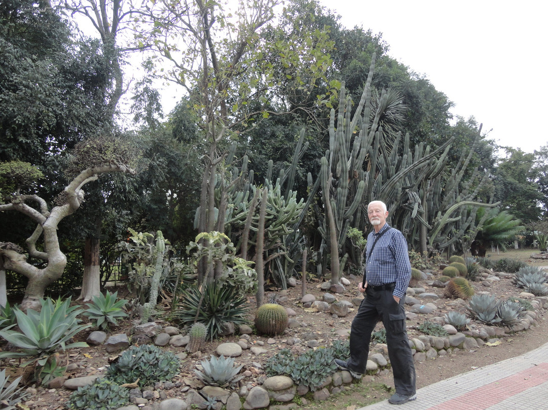 Sarkaria Cactus Garden景点图片