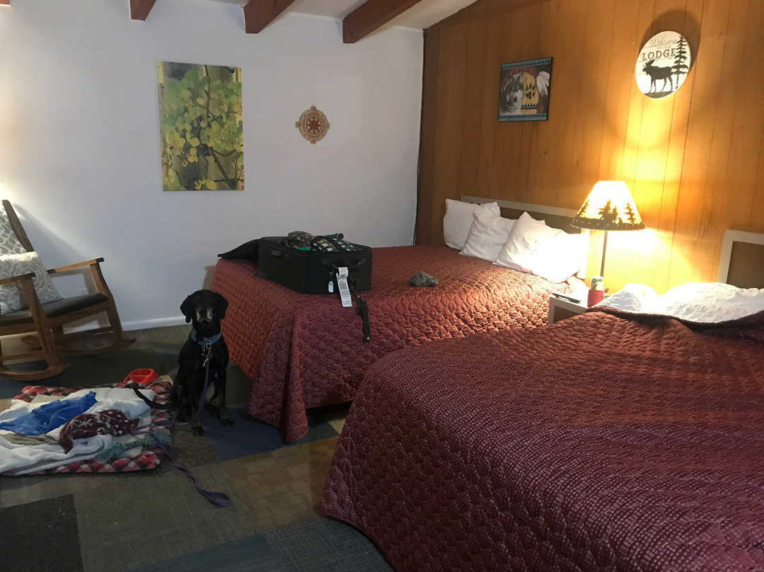 The Lodge Motel主图