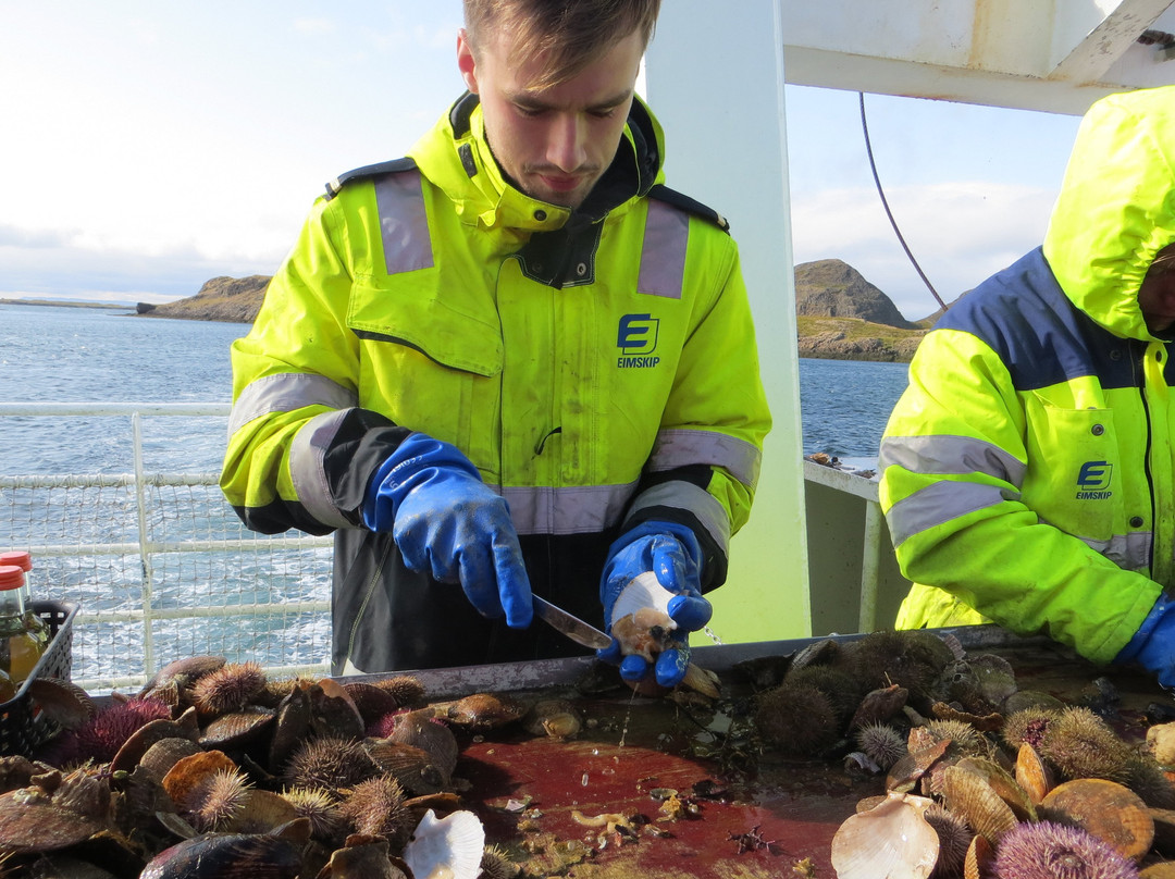 Seatours-Stykkisholmur必去景点