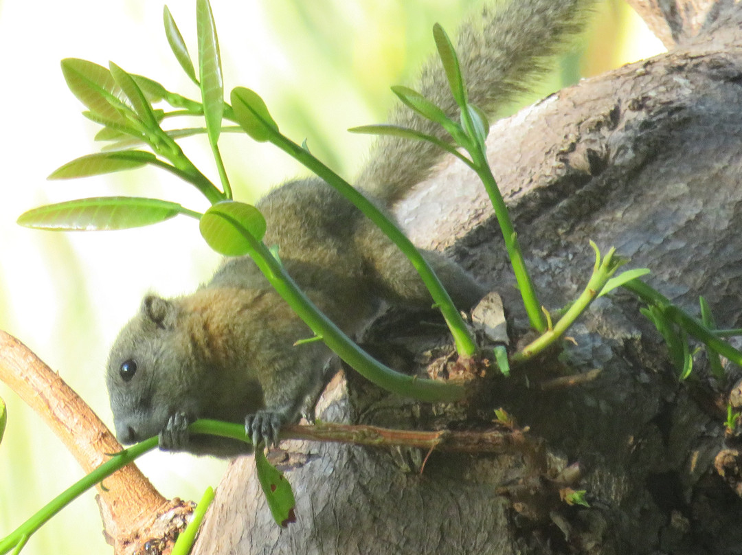 蝉之栈酒店主图