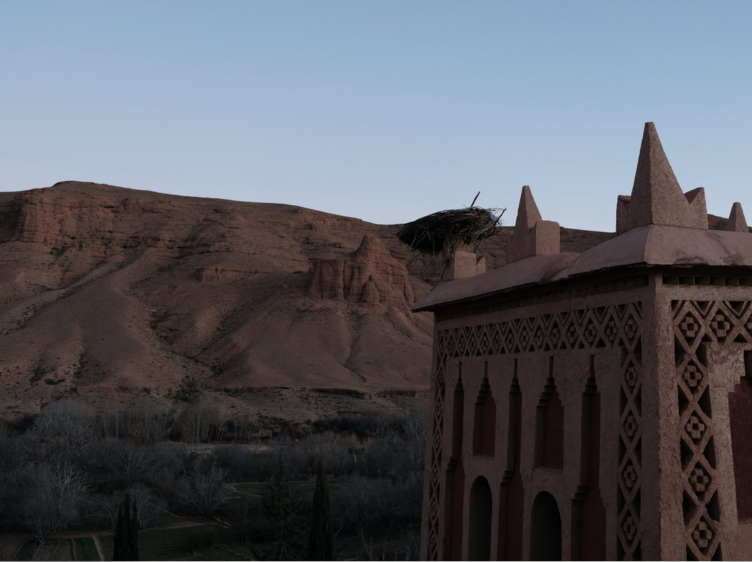 Dar Jnan Tiouira主图