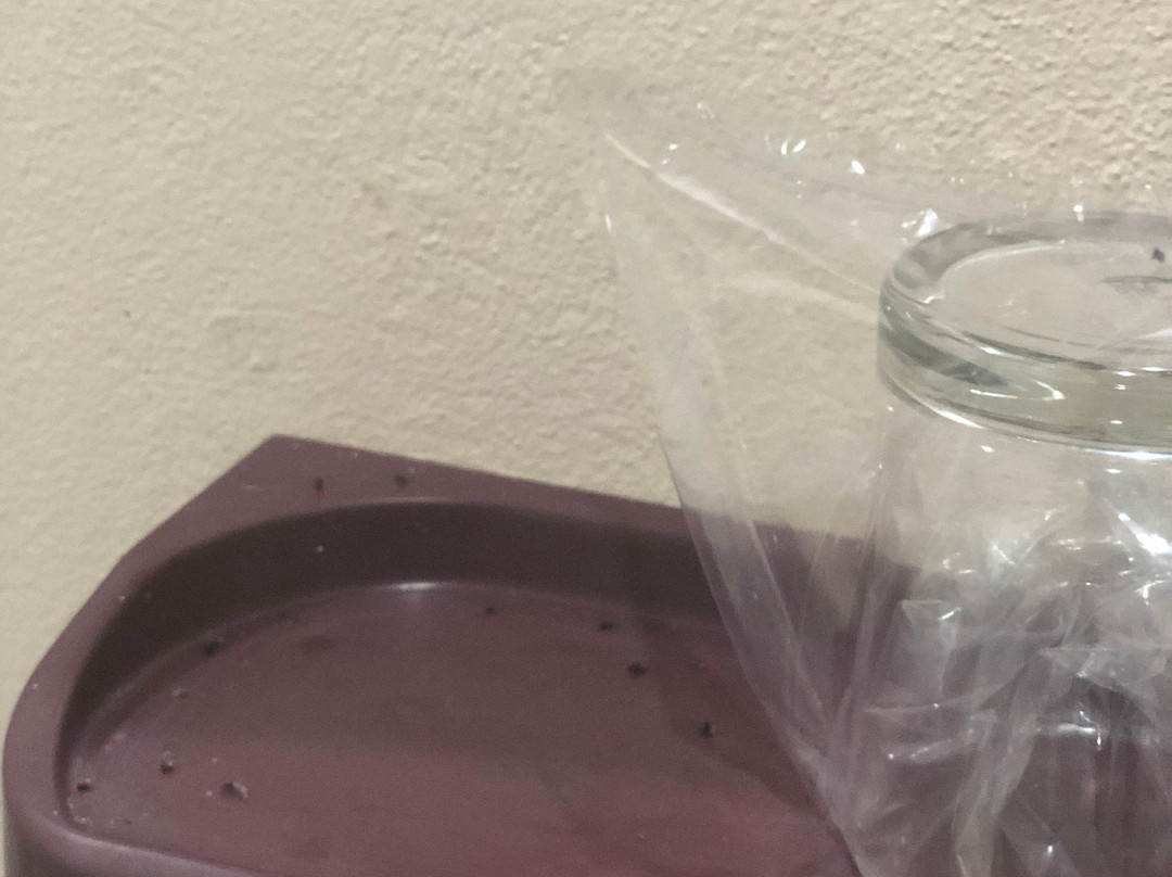 Jungle View Resort主图