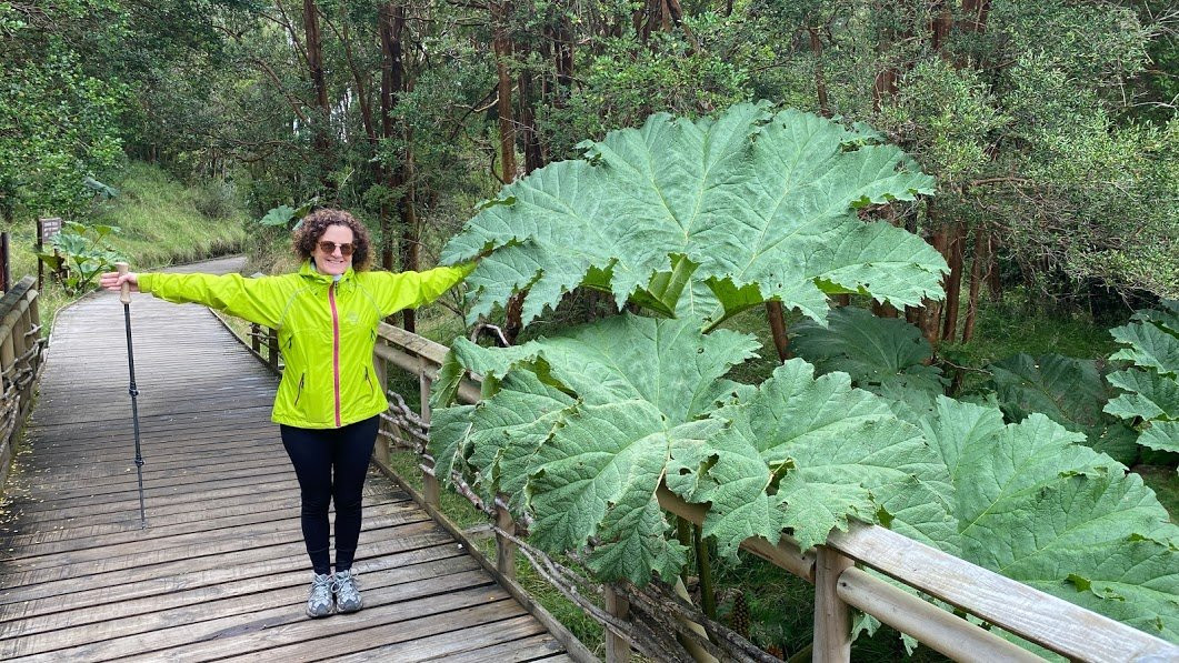Chiloétnico-Castro必去景点