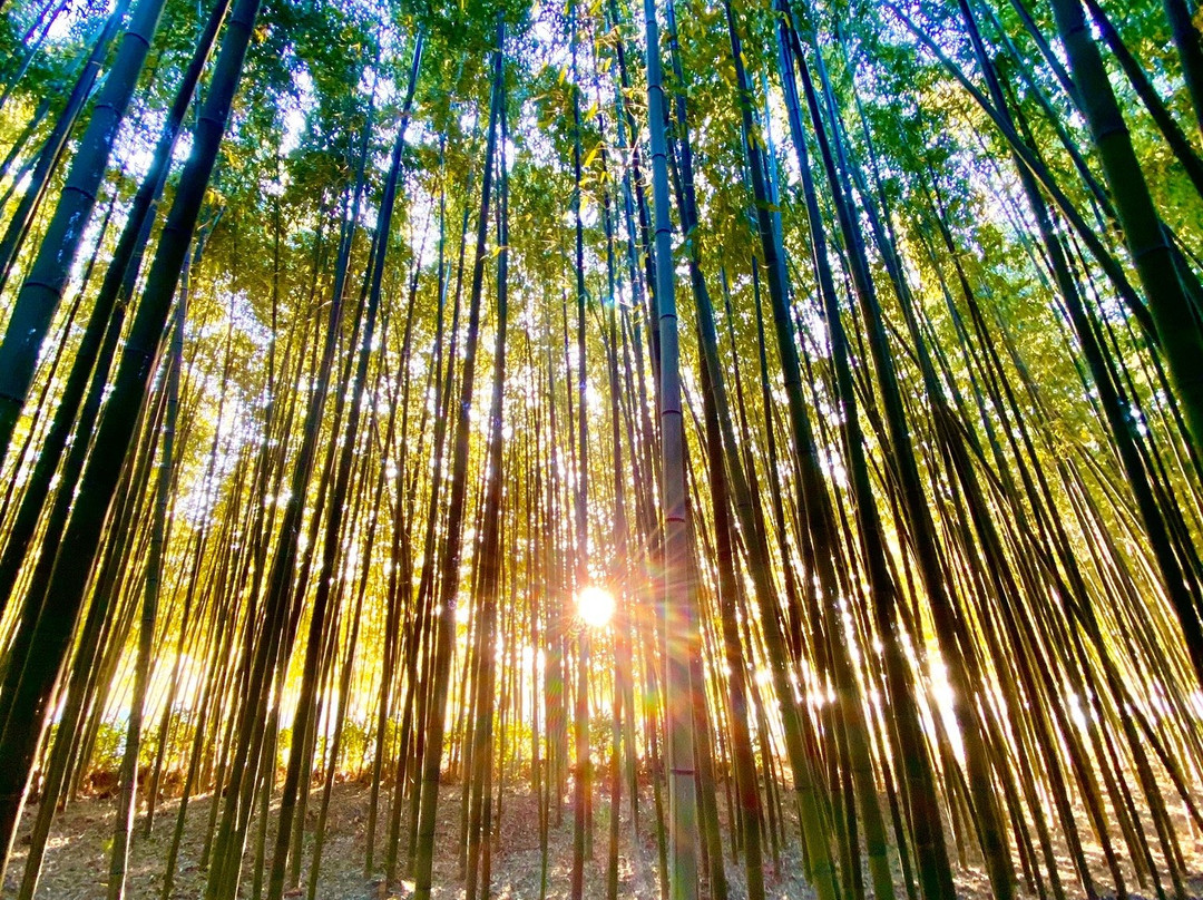 Taehwagang National Garden-蔚山必去景点