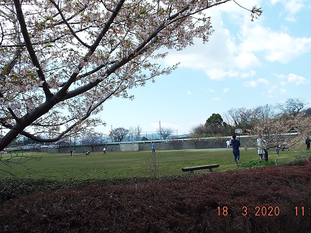 Tawara Furusato Park-秦野市必去景点