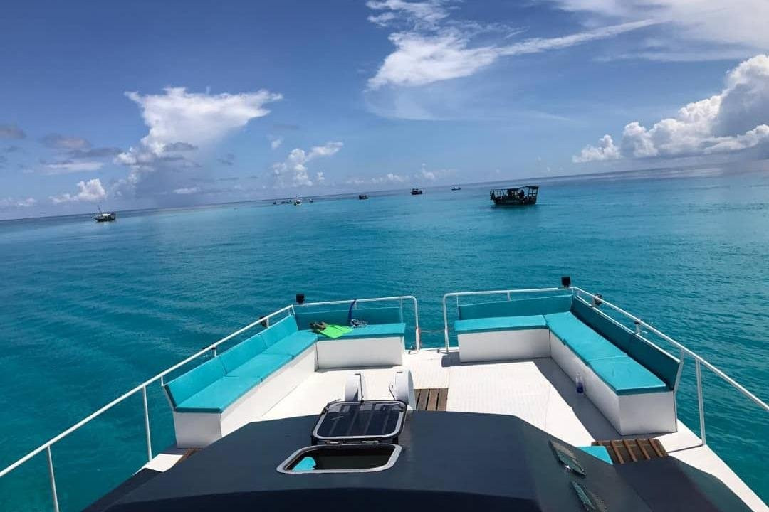 Kaizzy Catamaran Tours-华维斯湾必去景点