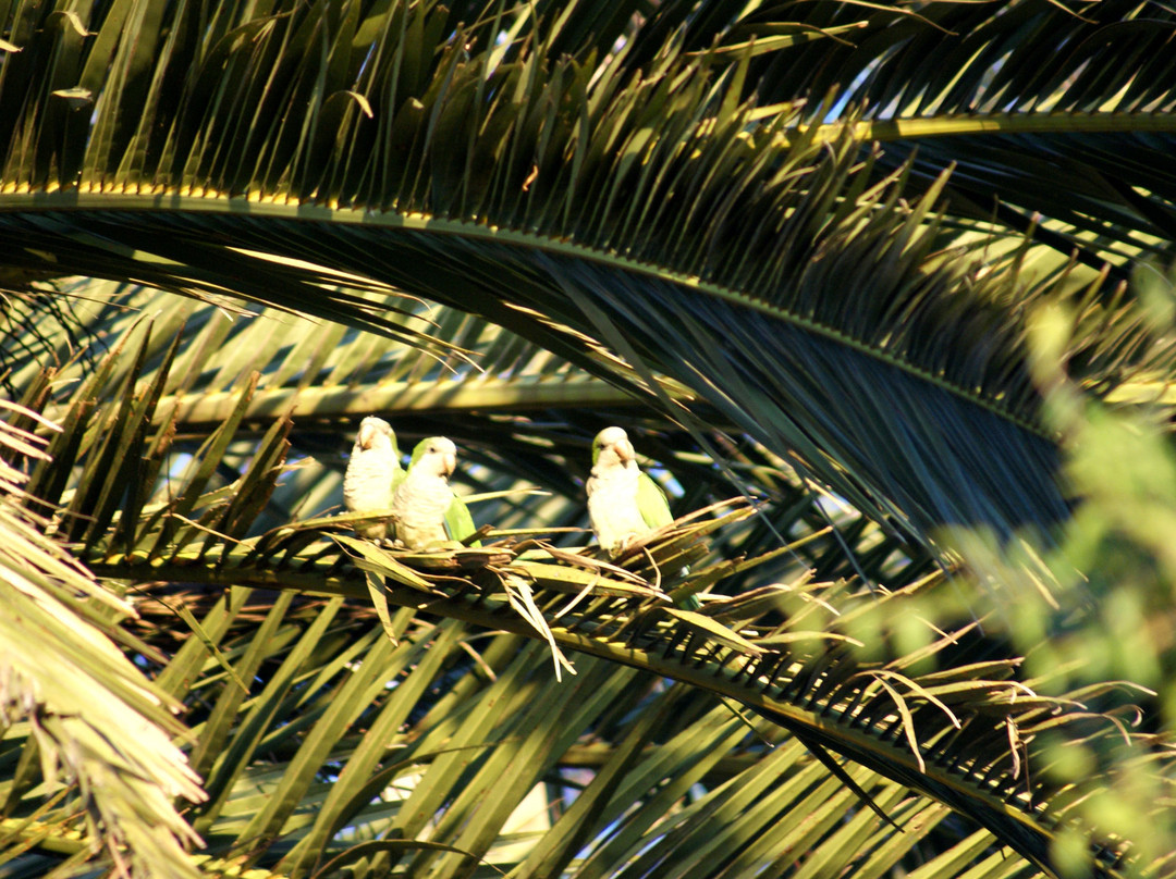 Estancia Los Platanos主图