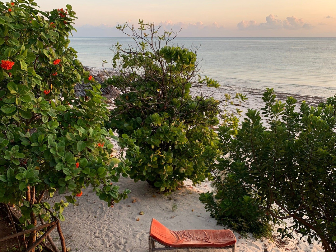 Pakachi Beach Hotel主图