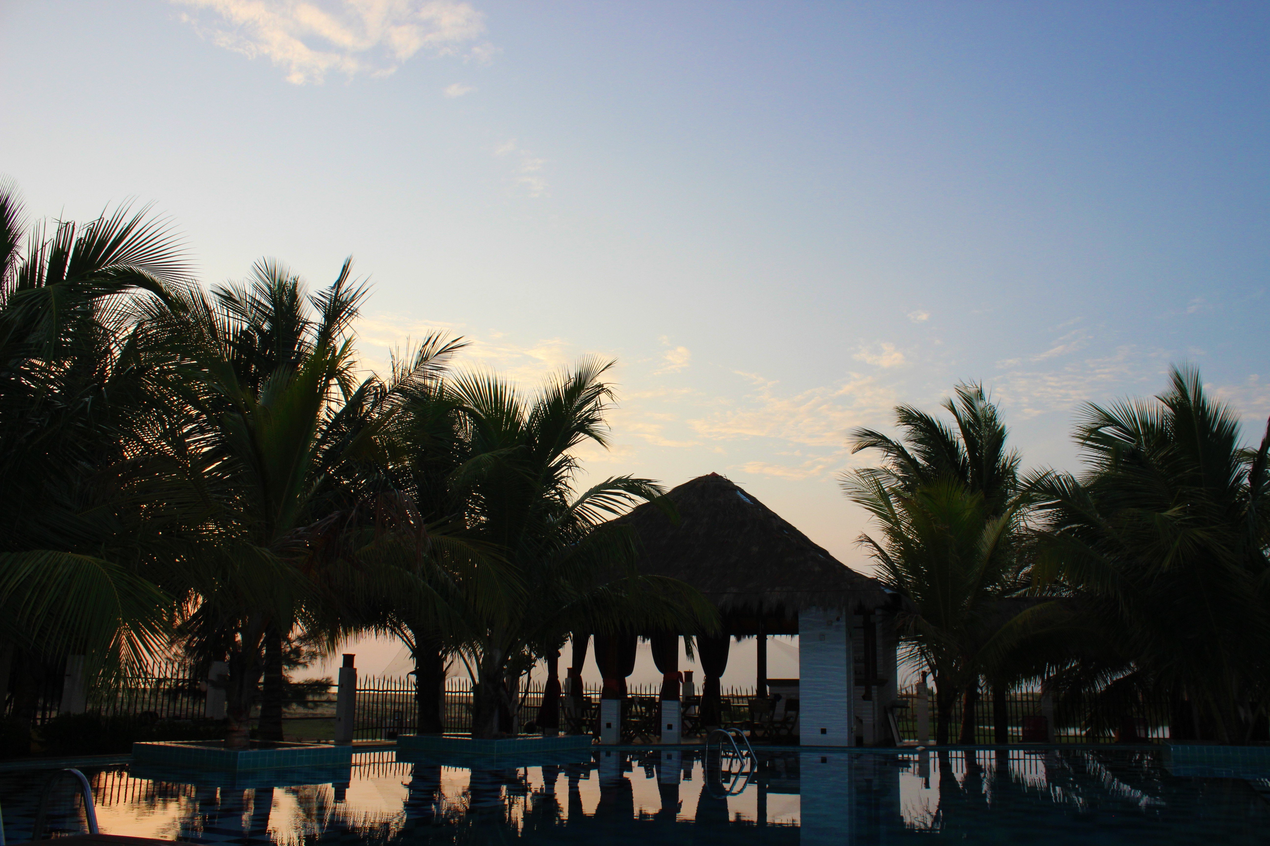 Ocean Park Resort-官方