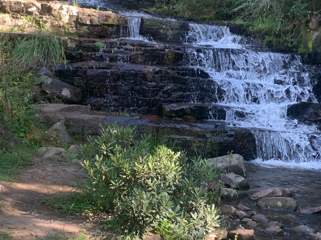 39 Steps-Hogsback必去景点