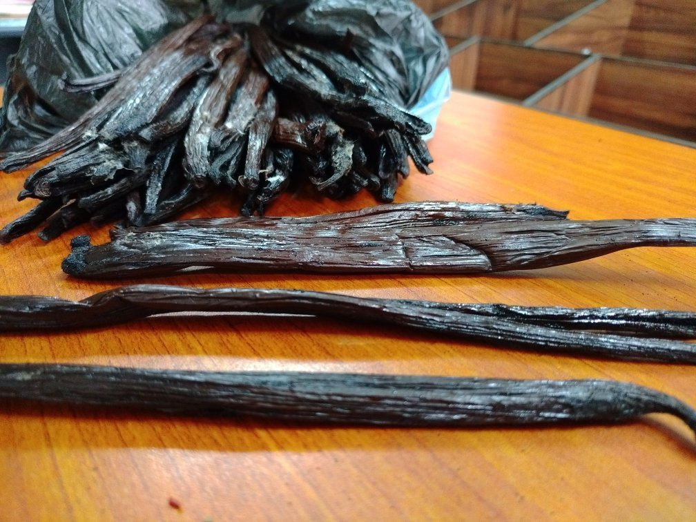 Singing Fish Tuk-科伦坡必去景点