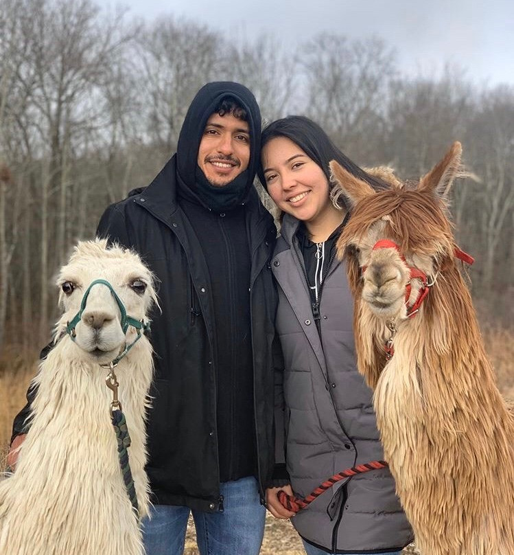 Clover Brooke Farm Llama Alpaca Hikes-海德公园必去景点