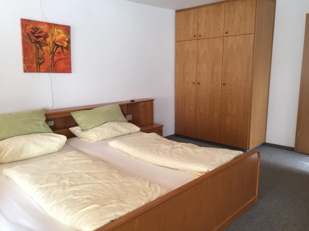 黑肯霍夫酒店主图