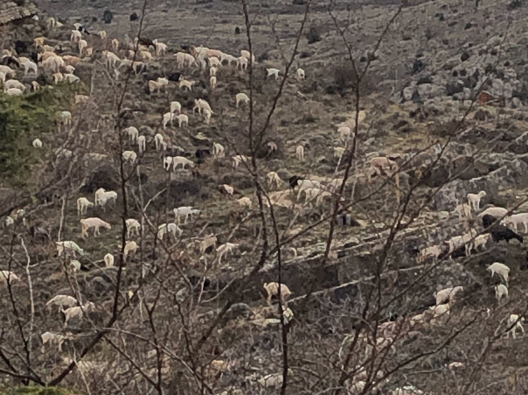 Posada del Rodeno主图