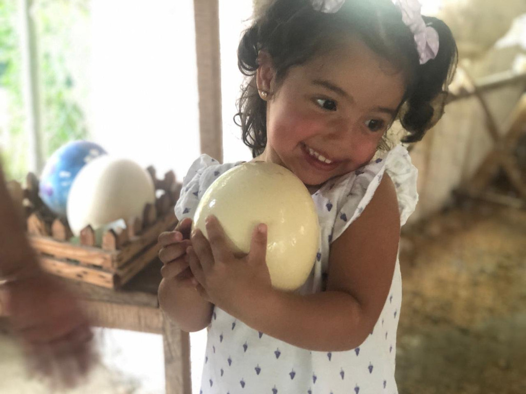 El Solar de Mao-Galapa必去景点