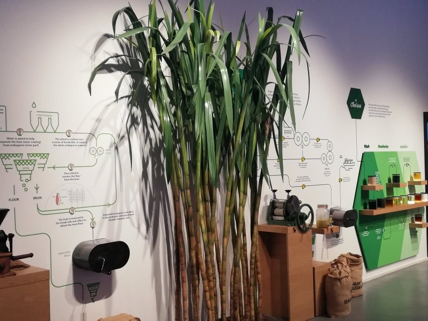 Chelsea Sugar Factory Tours-Birkenhead必去景点