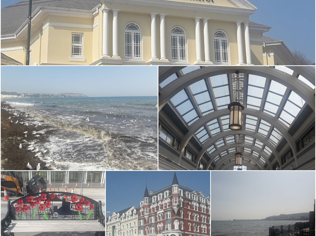 Guided Tours of Mann-Douglas必去景点