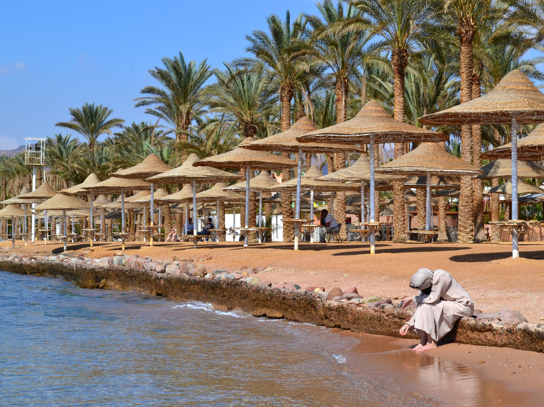 Panorama Naama Heights主图