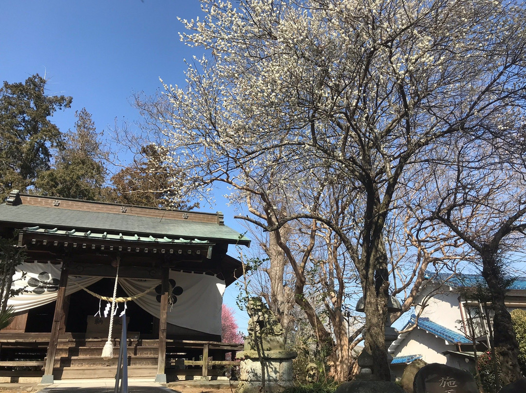 Temmangu Shrine-上三川町必去景点