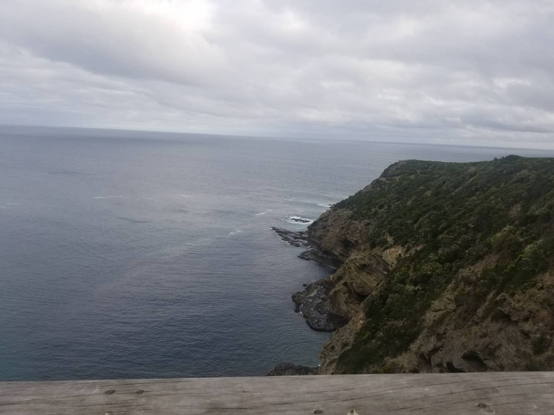 Cape Bridgewater Seal Walk-Cape Bridgewater必去景点