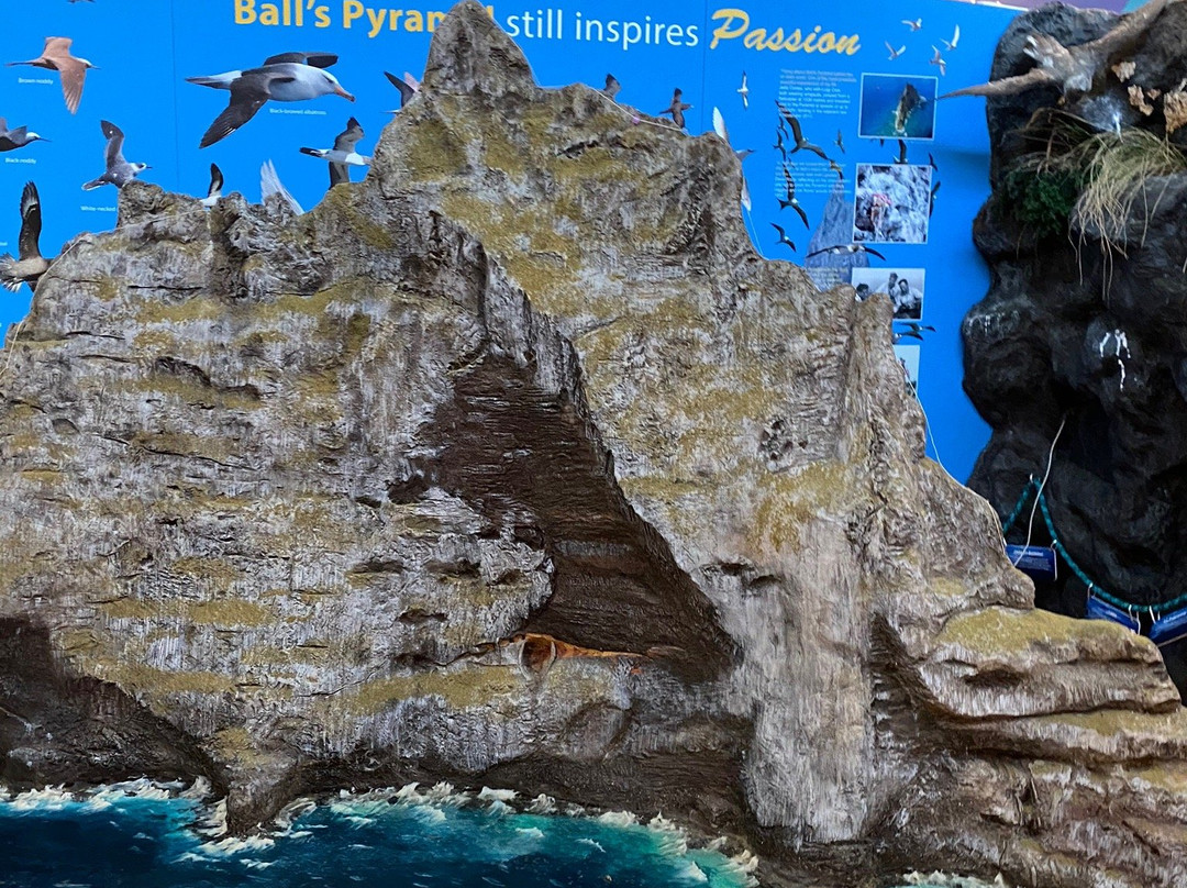 Lord Howe Island Museum-豪勋爵群岛必去景点