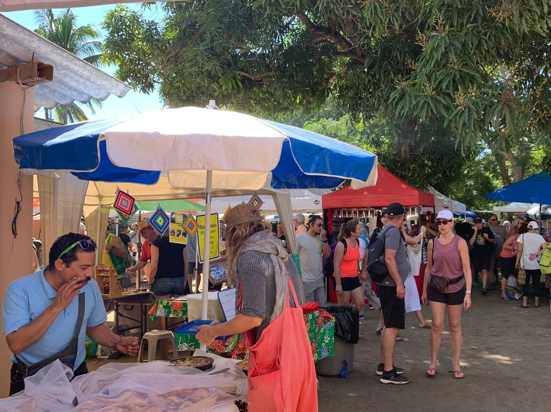 Sayulita Farmers Market/Mercado del Pueblo-利他必去景点